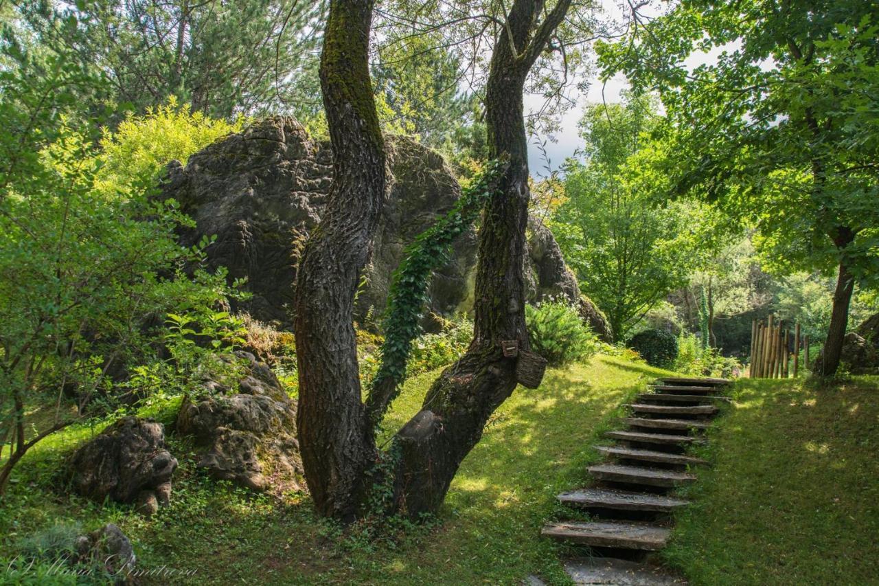 Omaya Eco Village Gaytaninovo
